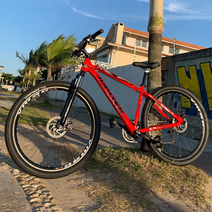 bicicletta mtb 29